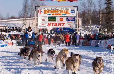 Iditarod Hundeschlittenrennen