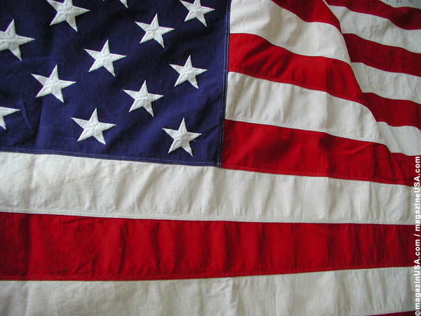 Die amerikanische Flagge