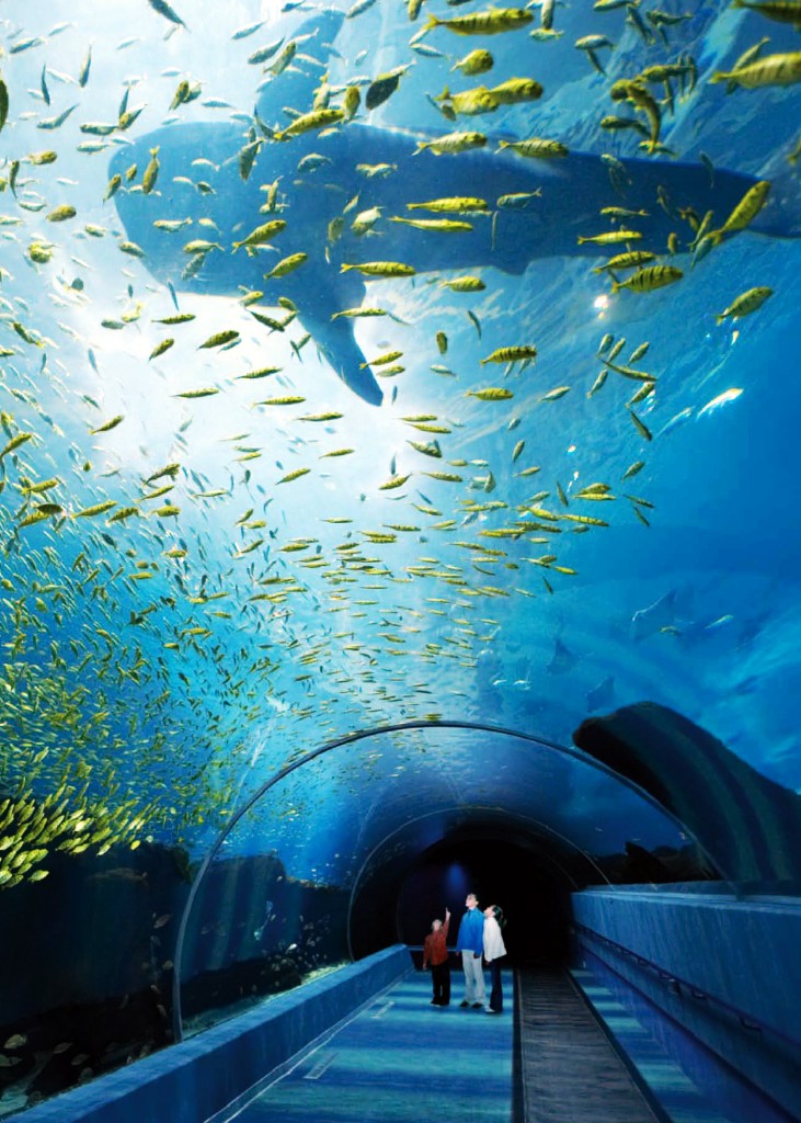 Georgia Aquarium (photo Georgia Dept. of Tourism)