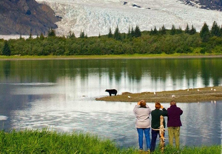 Ganz nah bei den Bären im Nationalpark, Foto Carroll Wayde