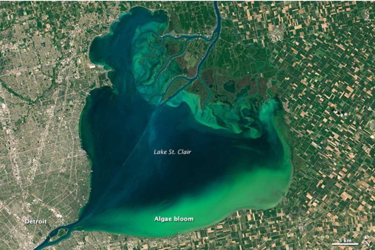Lake Erie / St. Clair 2016 (Bild NASA.gov)