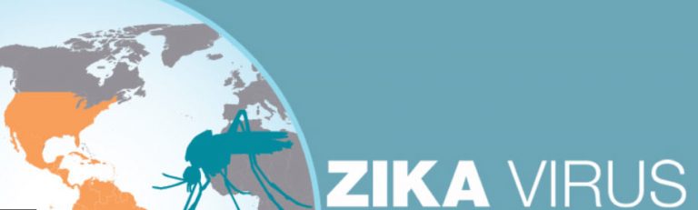 ZIKA Virus in USA (image: CDC.gov)
