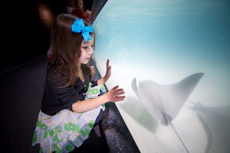Virginia Aquarium (Quelle: Claasen GmbH, VisitVirginiaBeach.de)