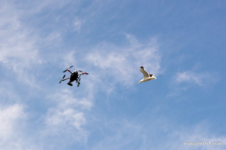 Drohnen mitnehmen nach USA – was ist zu beachten?