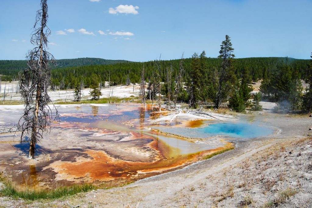 Yellowstone Schwefel Pools und Ablagerungen