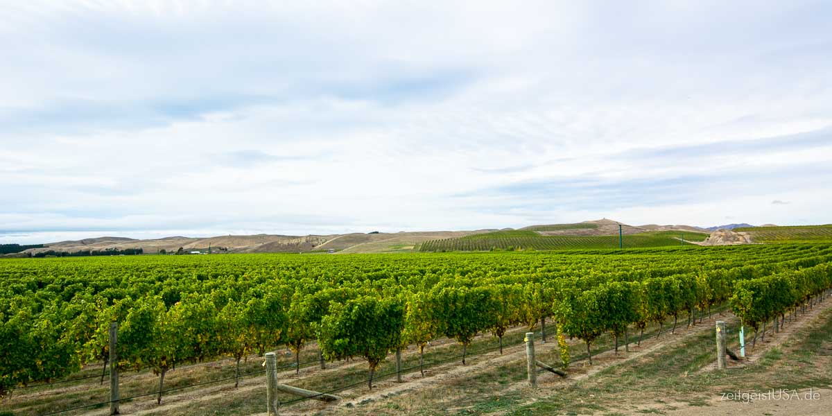 Weinparadies Kalifornien -- Napa, Sonoma und mehr