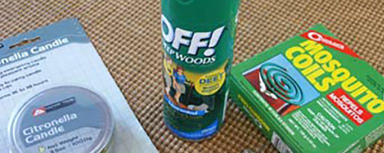 Insektenschutz auf Reisen