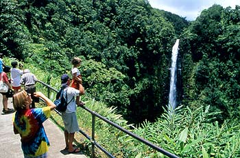 Die Akaka Falls befinden Sich mitten ca. 20 Meilen nördlich von Hilo, Hawaii (Big Island Visitors Bureau)