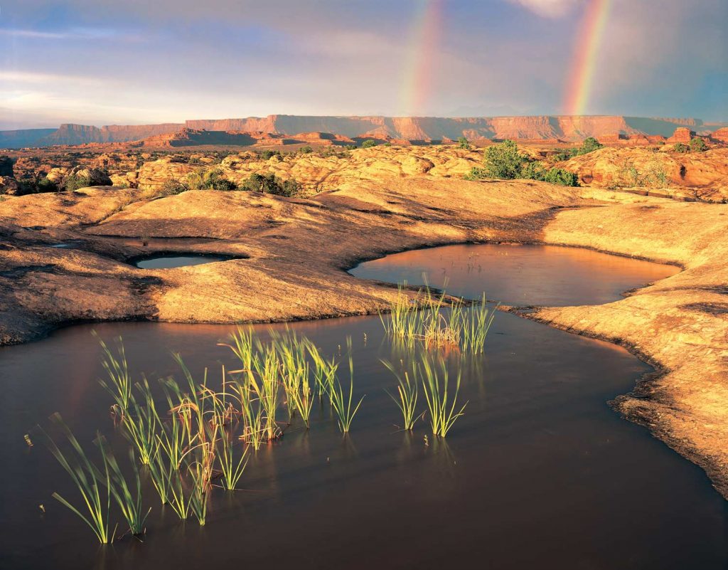 Pothole Point, Needles, Canyonlands (photo: NPS / Neal Herbert)